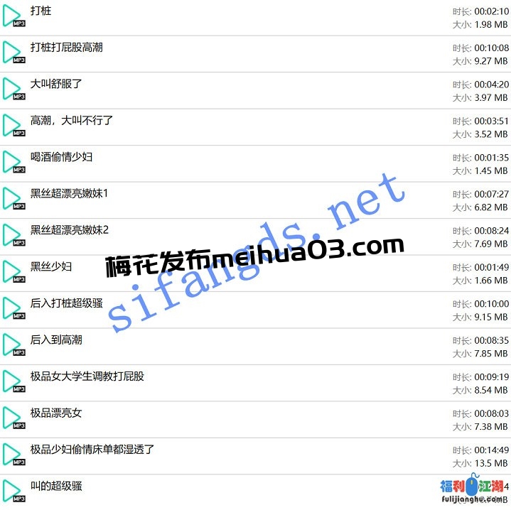 ❤️酒店音频❤️3月最新酒店民宿流出音频[某房原版]【219M】